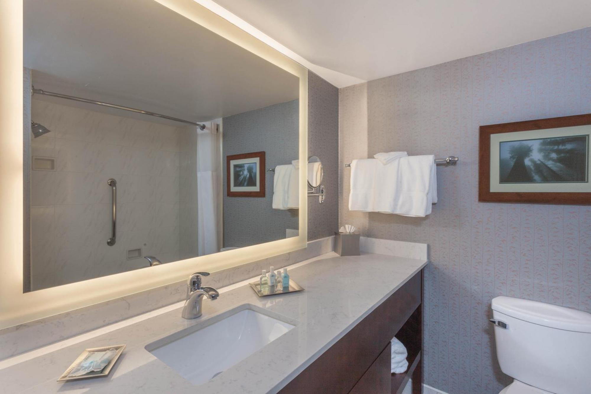 Suite de Luxe 1 Chambre avec Lit King-Size - Non-Fumeurs