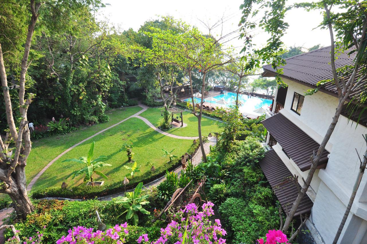 TreeTop Suite 2 Bedroom ( Connect DX )
