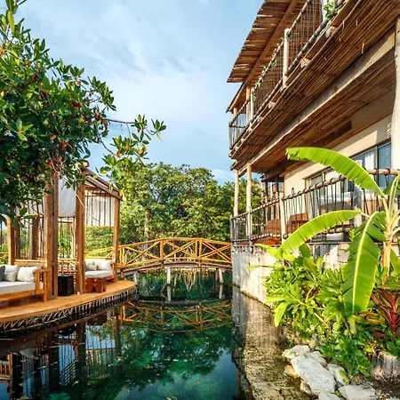 Hotel Shibari - Restaurant & Cenote Club-2