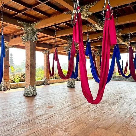 Udara Bali Yoga Detox & Spa-2
