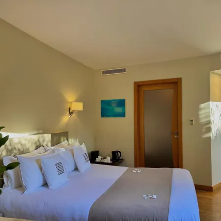 Cannes Villa St Barth-2