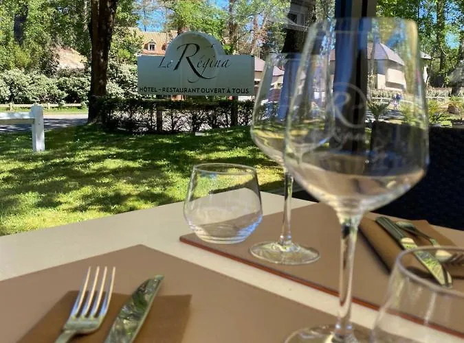 Hôtel accueillant les animaux: Le Regina Hotel