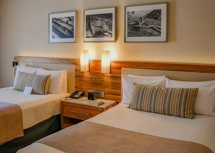 Animaux admis Emporio Cancun