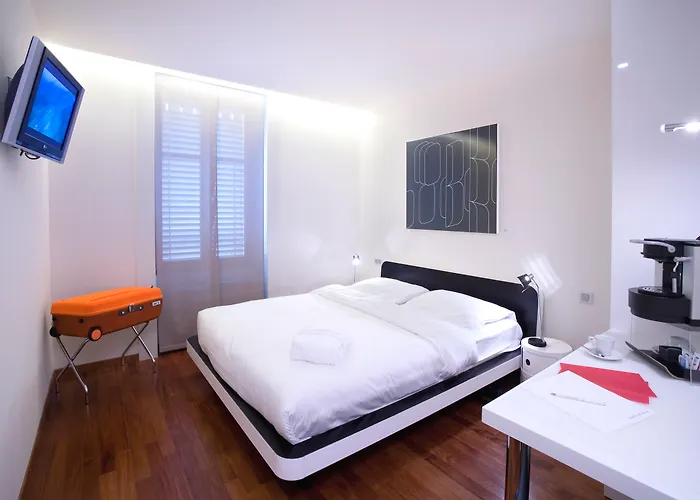 Animaux admis La Cour Des Augustins Boutique Gallery Design