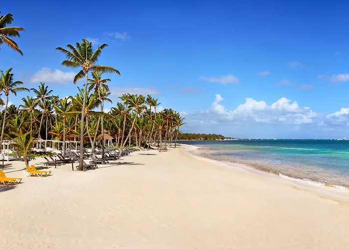 Animaux admis Catalonia Punta Cana