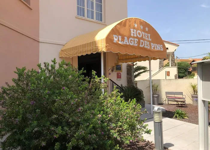 Hôtel accueillant les animaux: Plage des Pins
