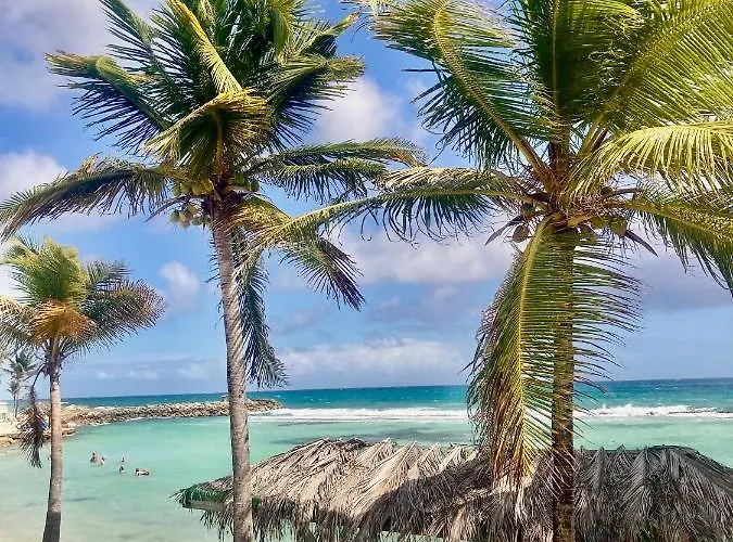 Location de vacances: Ti-Colibris