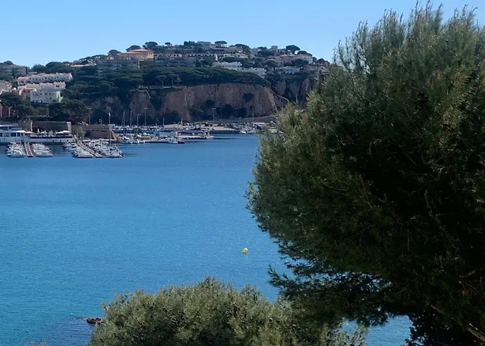 Magnific Apartament A Primera Linia De Mar
