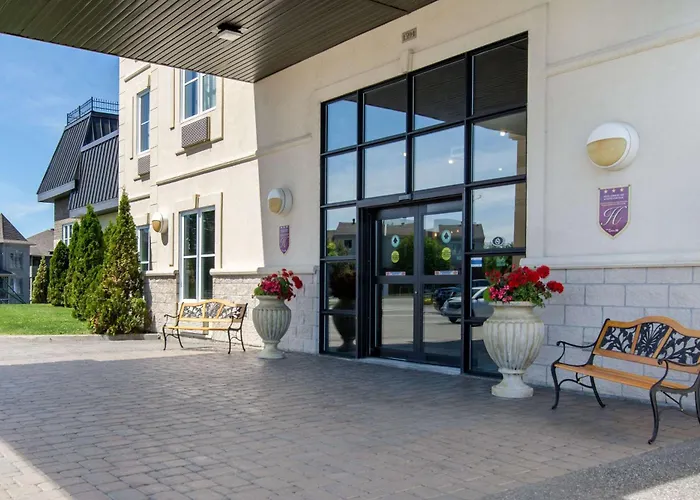 Hôtel-boutique: Comfort Inn & Suites
