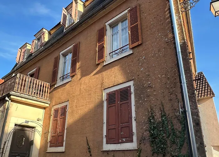 Hôtel accueillant les animaux: L'ambassadeur - Colmar centre