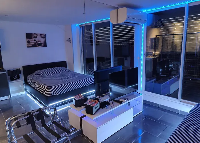 Animaux admis Studio Naturiste Design