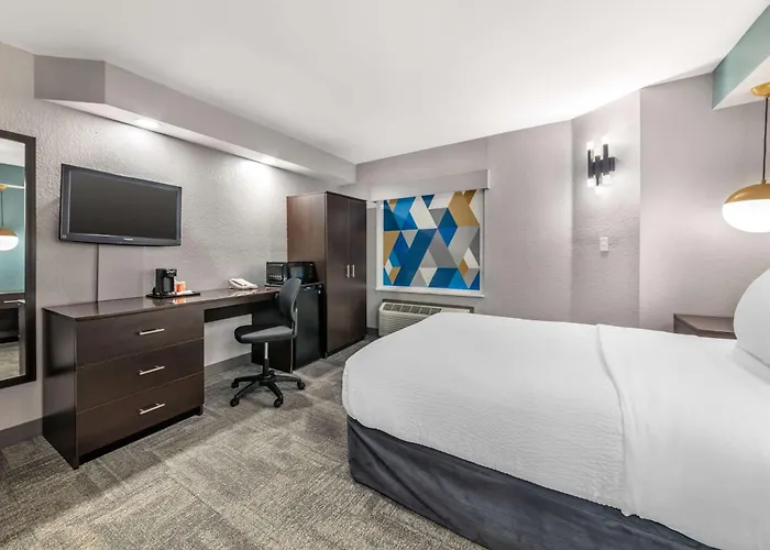 Animaux admis Sleep Miami Airport