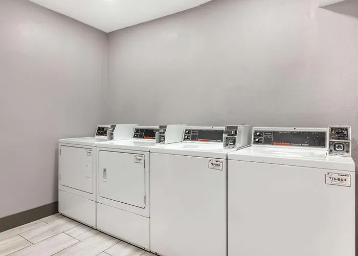 Animaux admis Sleep Miami Airport