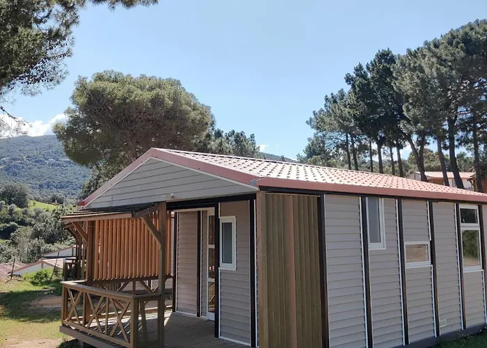Camping Tikiti