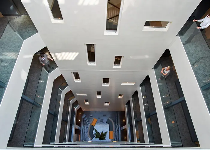 Hôtel accueillant les animaux: Chi