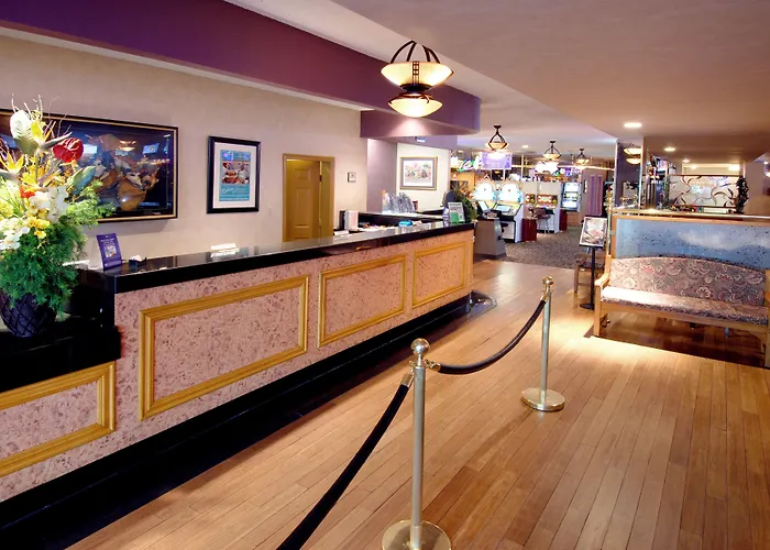 Animaux admis Mardi Gras & Casino