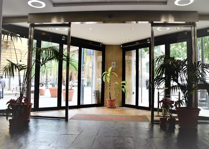 Hôtel accueillant les animaux: Cristal Hotel Palermo