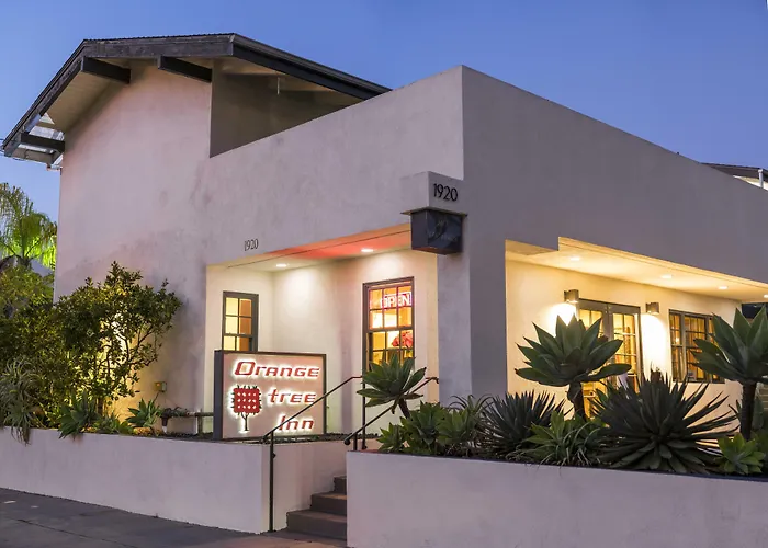 Motel: Orange Tree Inn
