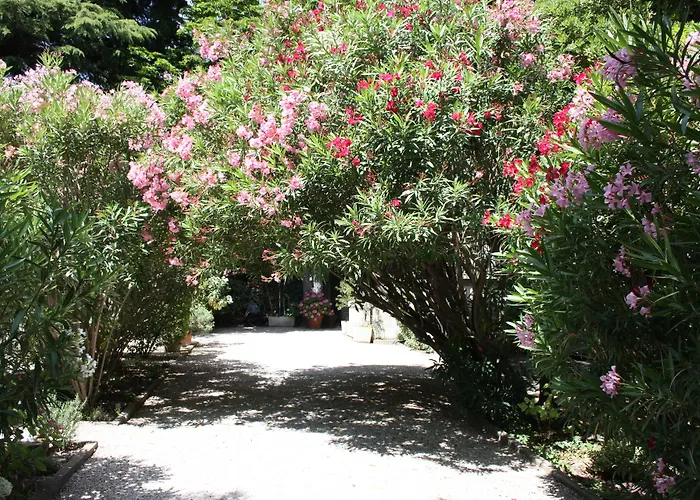 Hôtel 3 étoiles: Hôtel le Chalet Fleuri