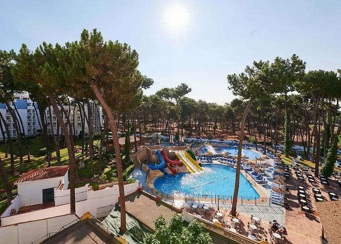 Hôtel pour familles: Aluasun Marbella Park