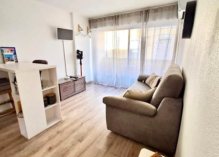 Animaux admis BoHémian Studio In Sète Center