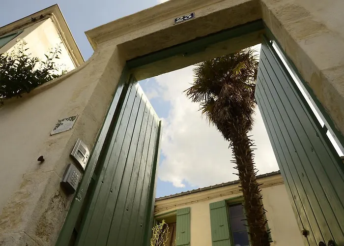 La Maison du Palmier