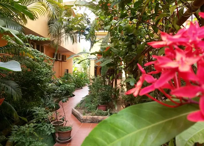 Hôtel accueillant les animaux: Robam Inn